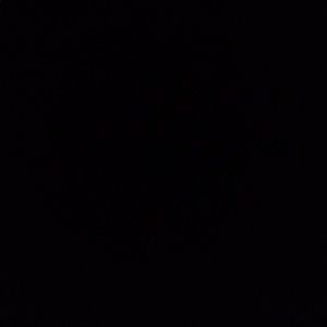 Meet your Posher, Antonio